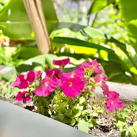 Real Golden Mile -eaw Homes Апартаменты Марбелья